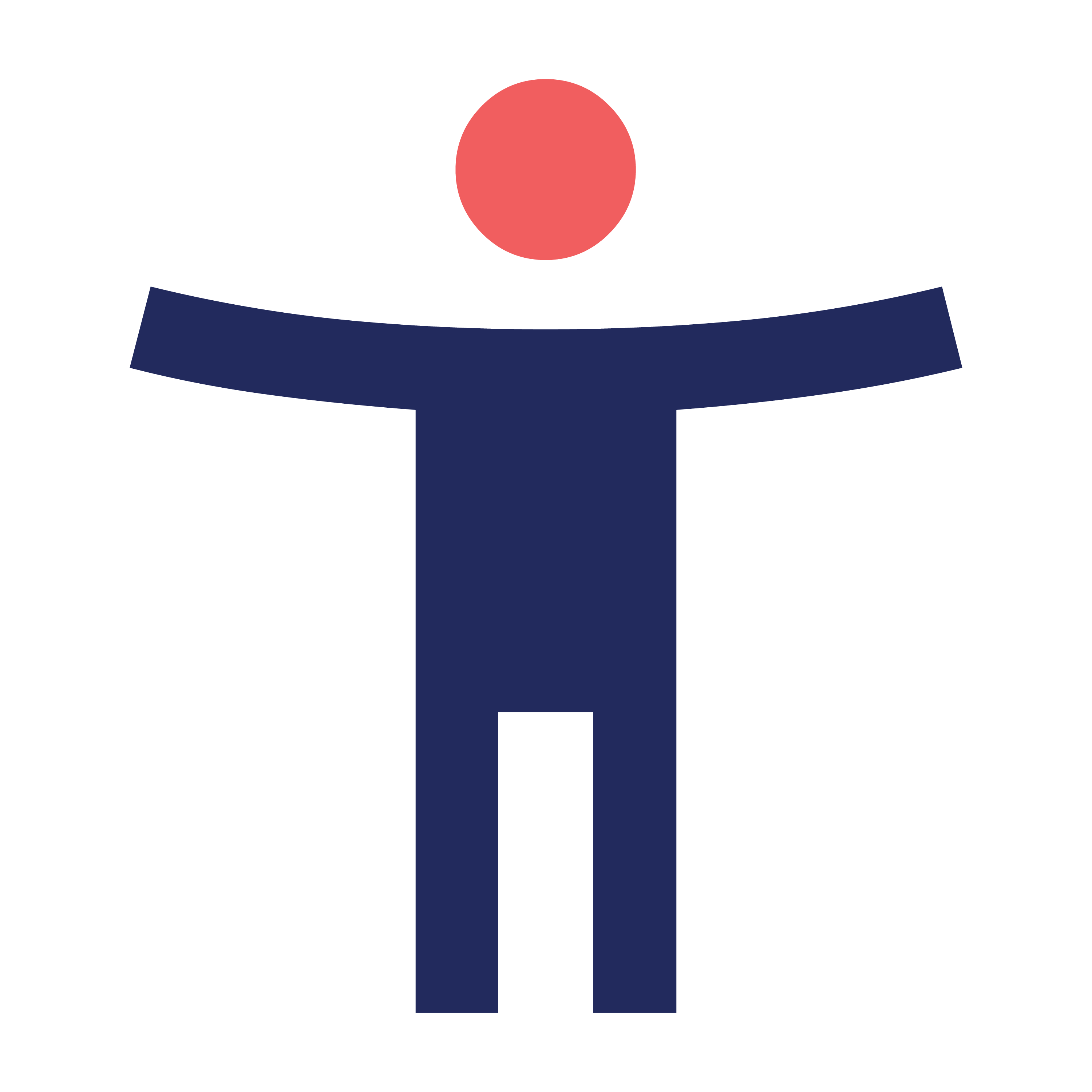 people-accessible icon