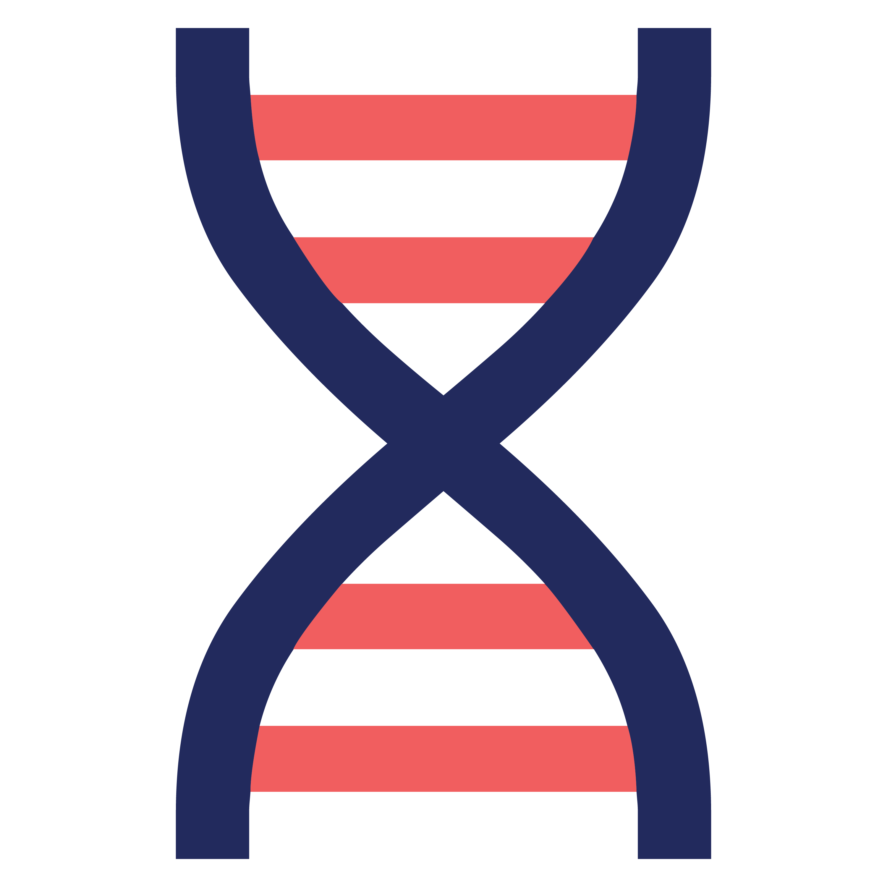 people-genetics icon
